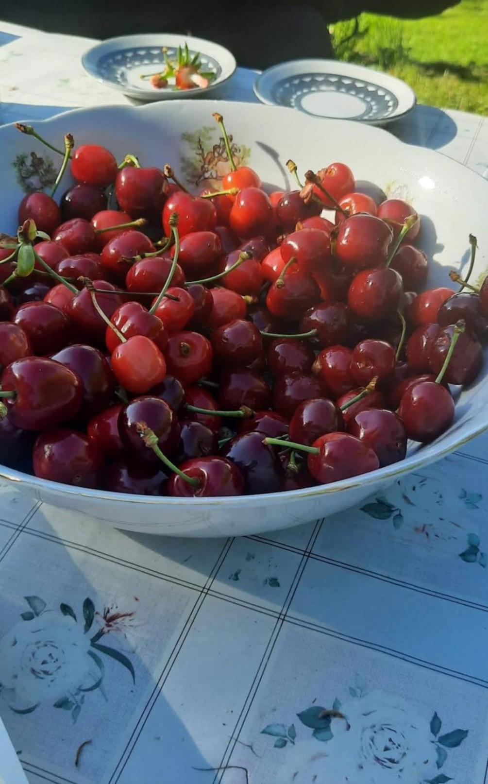 Mala Farma Nani Villa Visoko Kültér fotó