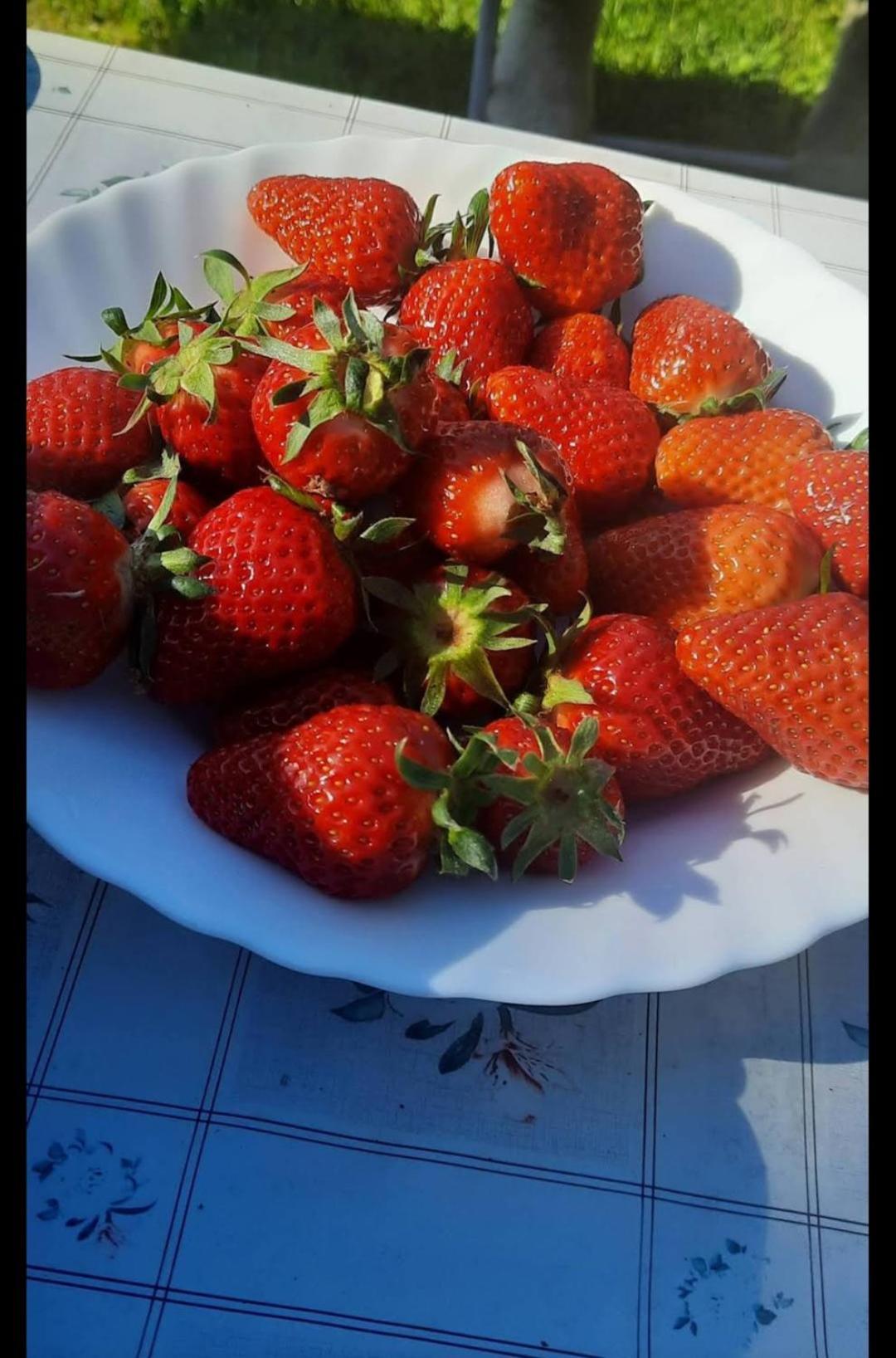 Mala Farma Nani Villa Visoko Kültér fotó