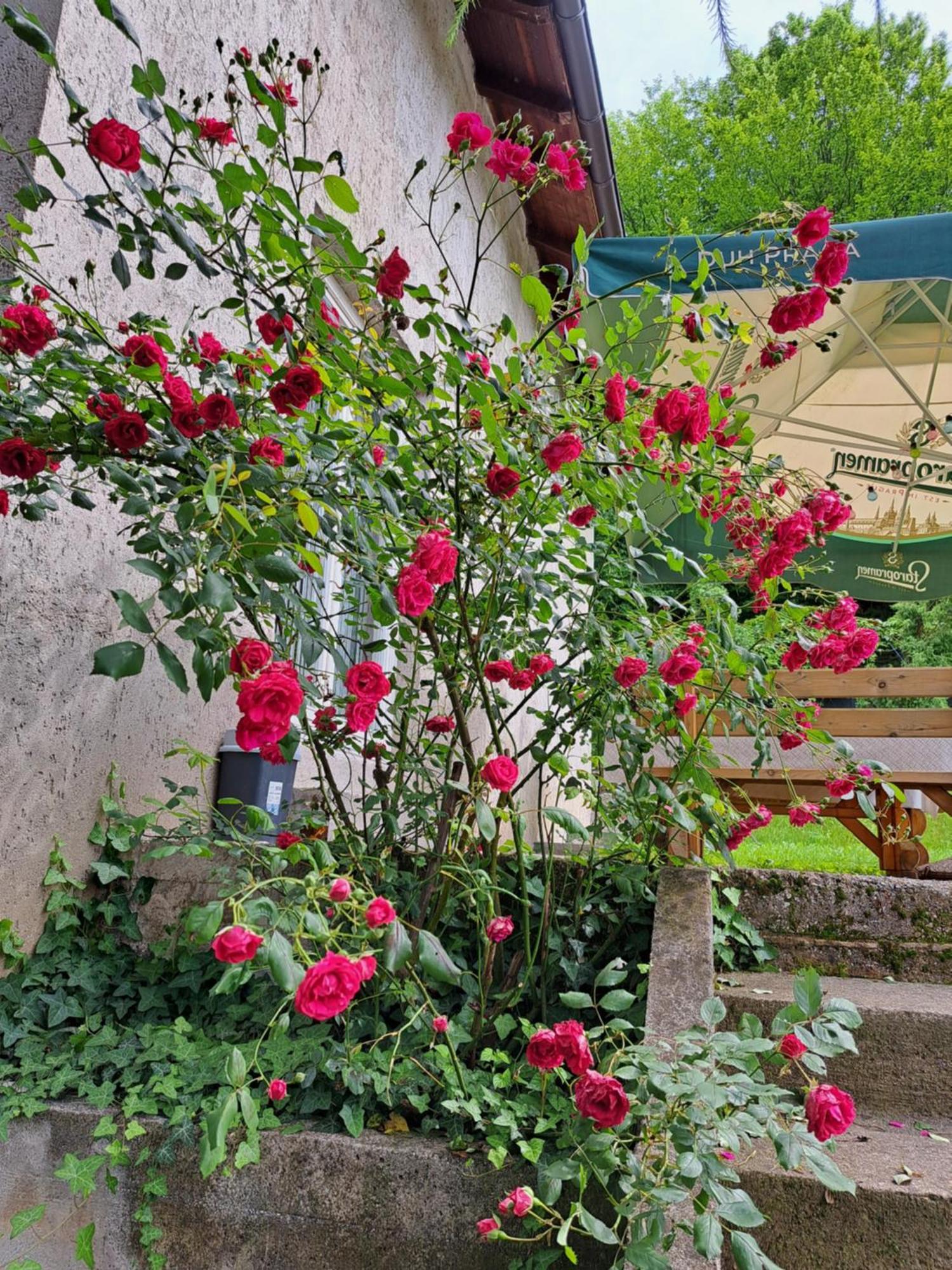 Mala Farma Nani Villa Visoko Kültér fotó