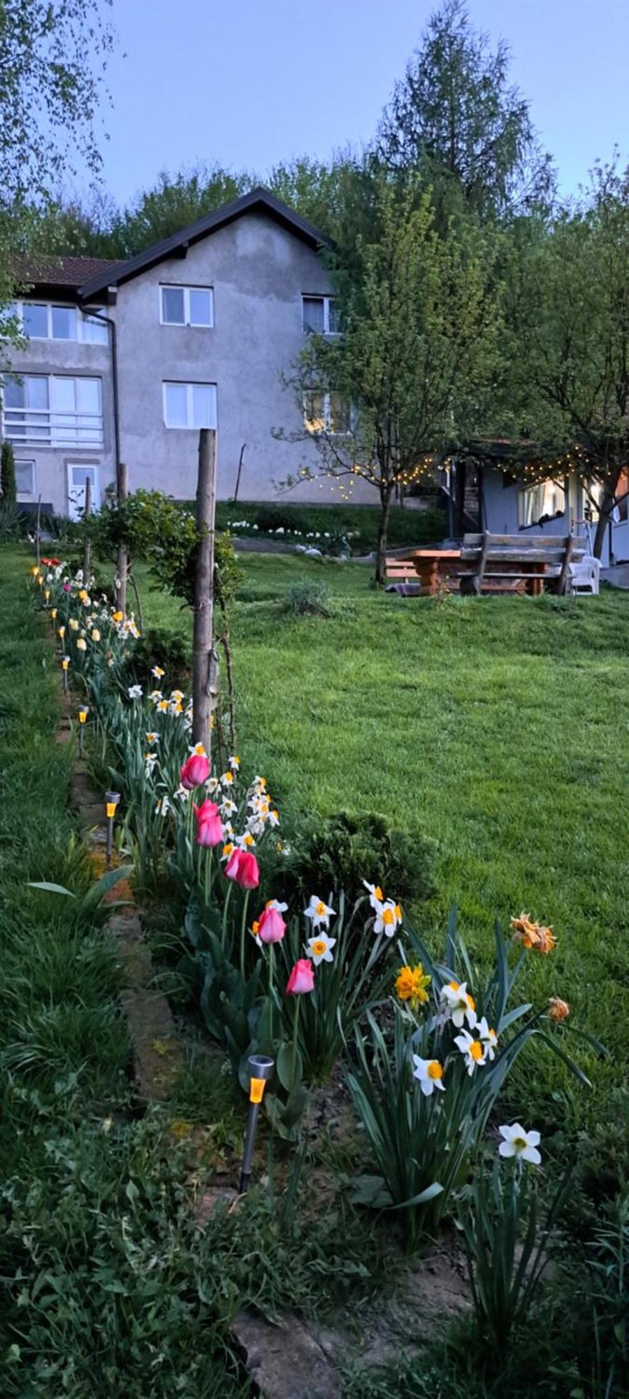 Mala Farma Nani Villa Visoko Kültér fotó