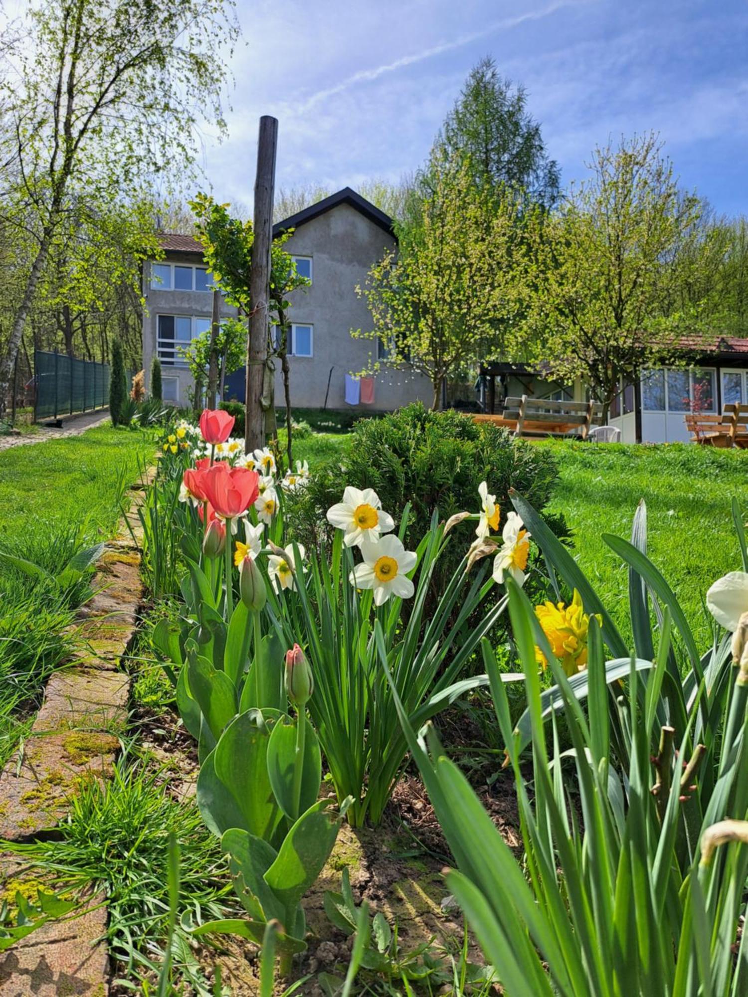 Mala Farma Nani Villa Visoko Kültér fotó